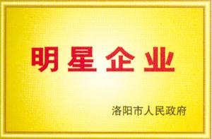 明星企業副本